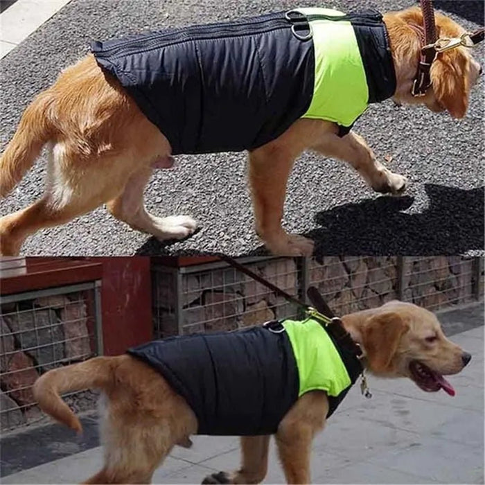 Casaco Protetor para Cães - Casaco de Inverno Impermeável (chuva) - PetDoctors - Loja Online