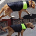 Casaco Protetor para Cães - Casaco de Inverno Impermeável (chuva) - PetDoctors - Loja Online