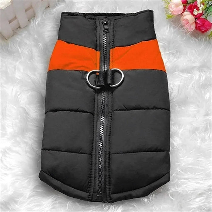 Casaco Protetor para Cães - Casaco de Inverno Impermeável (chuva) - PetDoctors - Loja Online