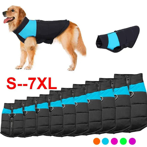 Casaco Protetor para Cães - Casaco de Inverno Impermeável (chuva) - PetDoctors - Loja Online