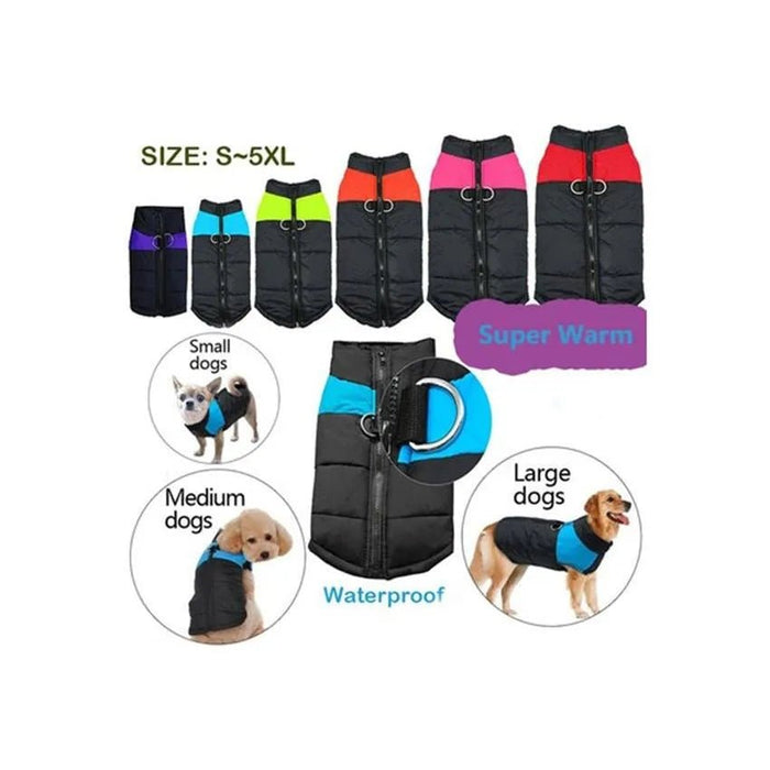 Casaco Protetor para Cães - Casaco de Inverno Impermeável (chuva) - PetDoctors - Loja Online