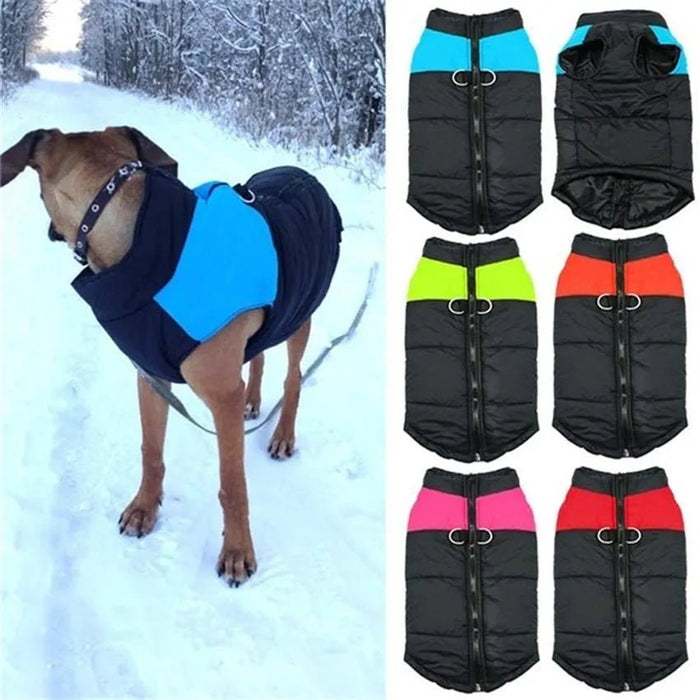 Casaco Protetor para Cães - Casaco de Inverno Impermeável (chuva) - PetDoctors - Loja Online