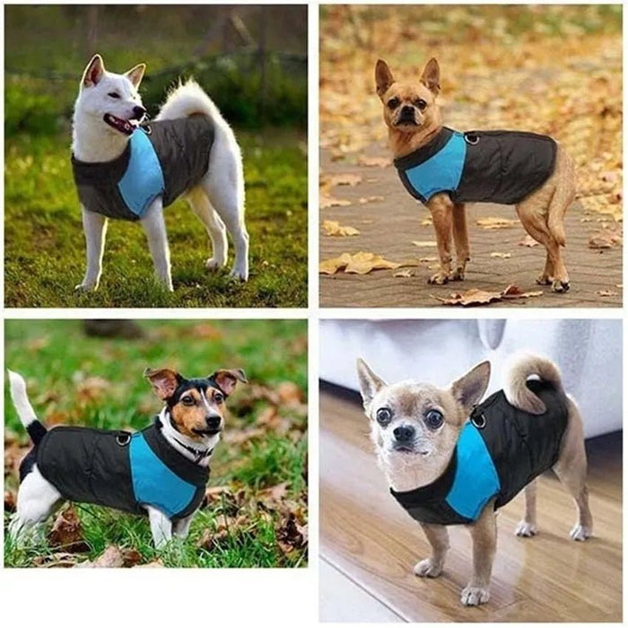 Casaco Protetor para Cães - Casaco de Inverno Impermeável (chuva) - PetDoctors - Loja Online
