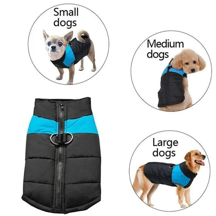 Casaco Protetor para Cães - Casaco de Inverno Impermeável (chuva) - PetDoctors - Loja Online