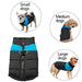 Casaco Protetor para Cães - Casaco de Inverno Impermeável (chuva) - PetDoctors - Loja Online