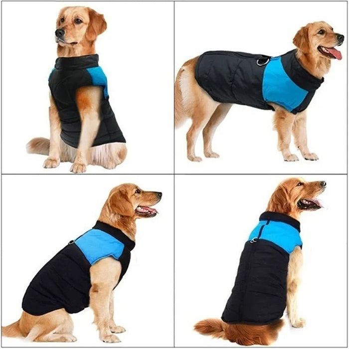 Casaco Protetor para Cães - Casaco de Inverno Impermeável (chuva) - PetDoctors - Loja Online