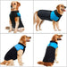 Casaco Protetor para Cães - Casaco de Inverno Impermeável (chuva) - PetDoctors - Loja Online