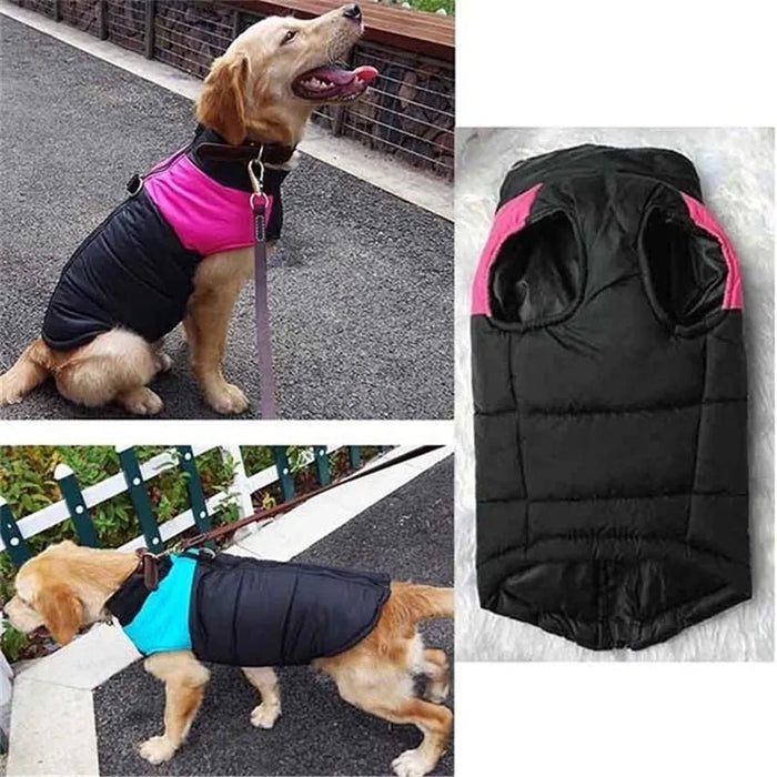 Casaco Protetor para Cães - Casaco de Inverno Impermeável (chuva) - PetDoctors - Loja Online