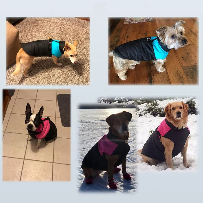 Casaco Protetor para Cães - Casaco de Inverno Impermeável (chuva) - PetDoctors - Loja Online
