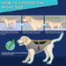 Casaco quente de Outono / Inverno para cães ou gatos, refletor, impermeável e à prova de vento - Fecho com velcro - PetDoctors - Loja Online