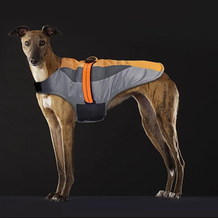 Casaco quente de Outono / Inverno para cães ou gatos, refletor, impermeável e à prova de vento - Fecho com velcro - PetDoctors - Loja Online