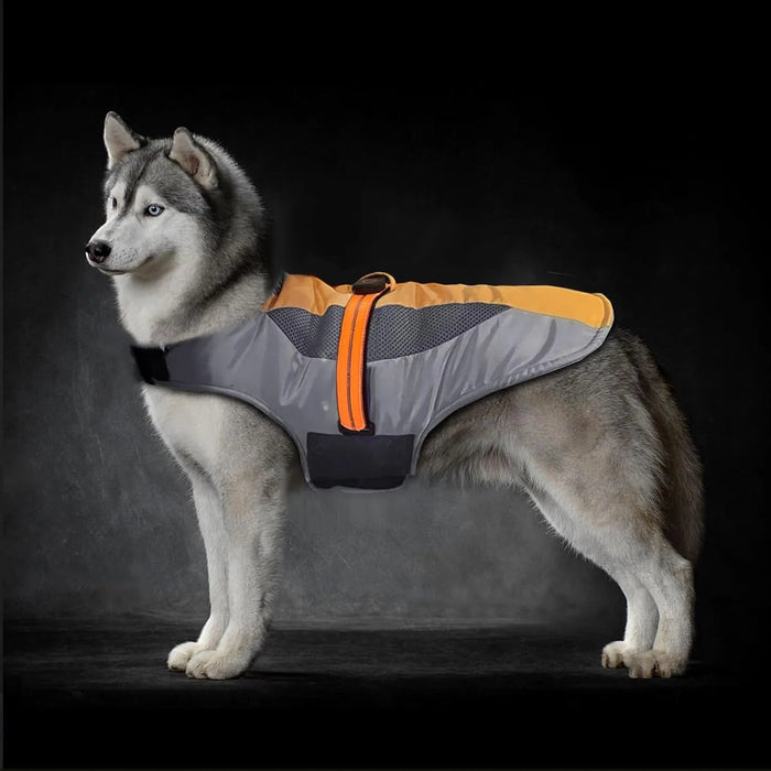 Casaco quente de Outono / Inverno para cães ou gatos, refletor, impermeável e à prova de vento - Fecho com velcro - PetDoctors - Loja Online
