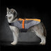 Casaco quente de Outono / Inverno para cães ou gatos, refletor, impermeável e à prova de vento - Fecho com velcro - PetDoctors - Loja Online
