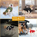 Casaco rosa, de inverno, para cão, impermeável, resistente ao vento, com tiras refletoras seguras e arnês ajustável - PetDoctors - Loja Online