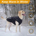 Casaco rosa, de inverno, para cão, impermeável, resistente ao vento, com tiras refletoras seguras e arnês ajustável - PetDoctors - Loja Online