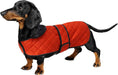 Casaco térmico de inverno para cão salsicha, com forro polar quente, impermeável, com faixas ajustáveis e orifício de arnês - PetDoctors - Loja Online