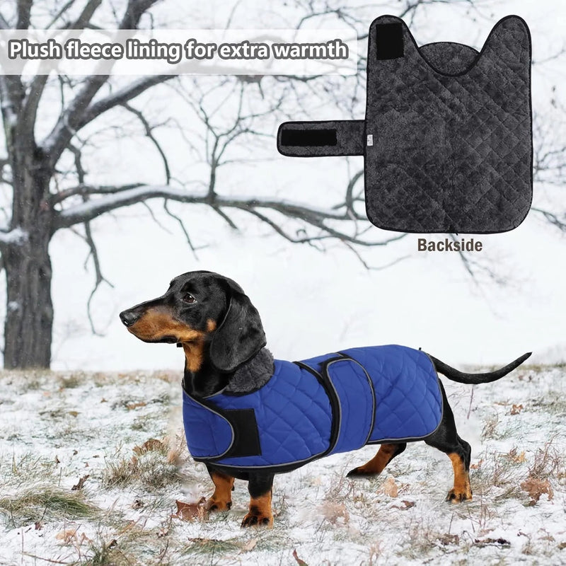Casaco térmico de inverno para cão salsicha, com forro polar quente, impermeável, com faixas ajustáveis e orifício de arnês - PetDoctors - Loja Online
