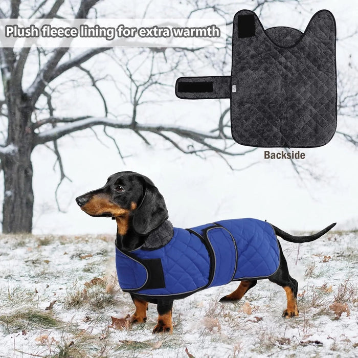 Casaco térmico de inverno para cão salsicha, com forro polar quente, impermeável, com faixas ajustáveis e orifício de arnês - PetDoctors - Loja Online