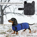 Casaco térmico de inverno para cão salsicha, com forro polar quente, impermeável, com faixas ajustáveis e orifício de arnês - PetDoctors - Loja Online