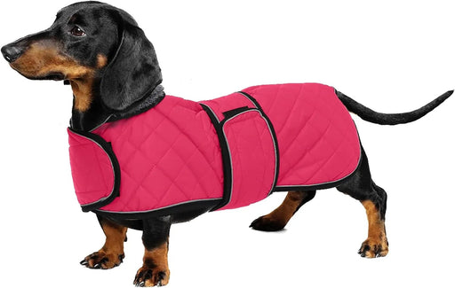 Casaco térmico de inverno para cão salsicha, com forro polar quente, impermeável, com faixas ajustáveis e orifício de arnês - PetDoctors - Loja Online