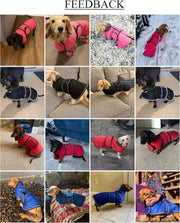 Casaco térmico de inverno para cão salsicha, com forro polar quente, impermeável, com faixas ajustáveis e orifício de arnês - PetDoctors - Loja Online