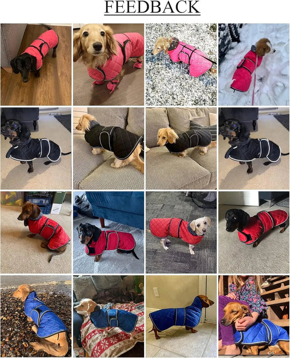 Casaco térmico de inverno para cão salsicha, com forro polar quente, impermeável, com faixas ajustáveis e orifício de arnês - PetDoctors - Loja Online