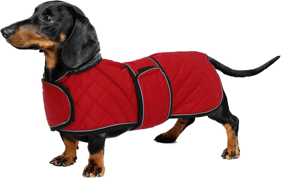 Casaco térmico de inverno para cão salsicha, com forro polar quente, impermeável, com faixas ajustáveis e orifício de arnês - PetDoctors - Loja Online