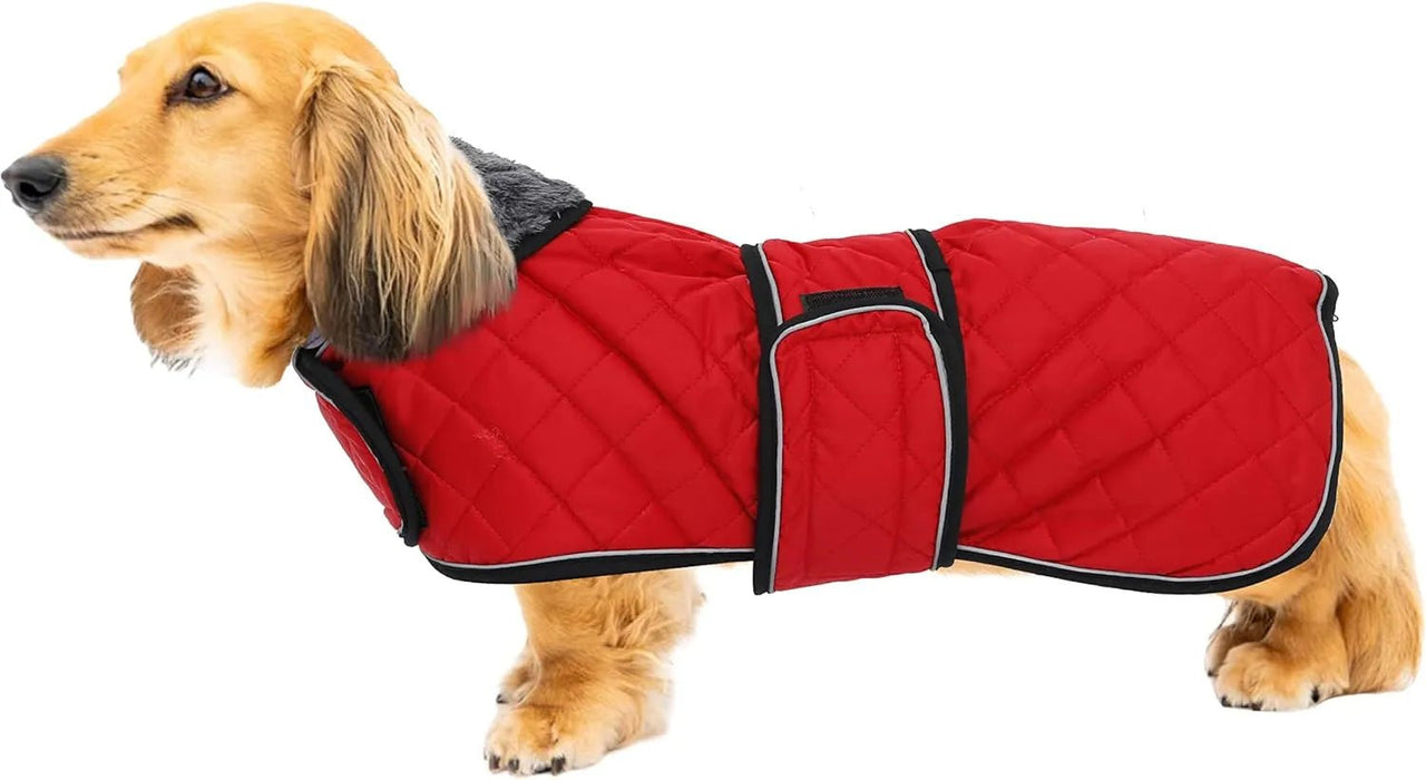 Casaco térmico de inverno para cão salsicha, com forro polar quente, impermeável, com faixas ajustáveis e orifício de arnês - PetDoctors - Loja Online