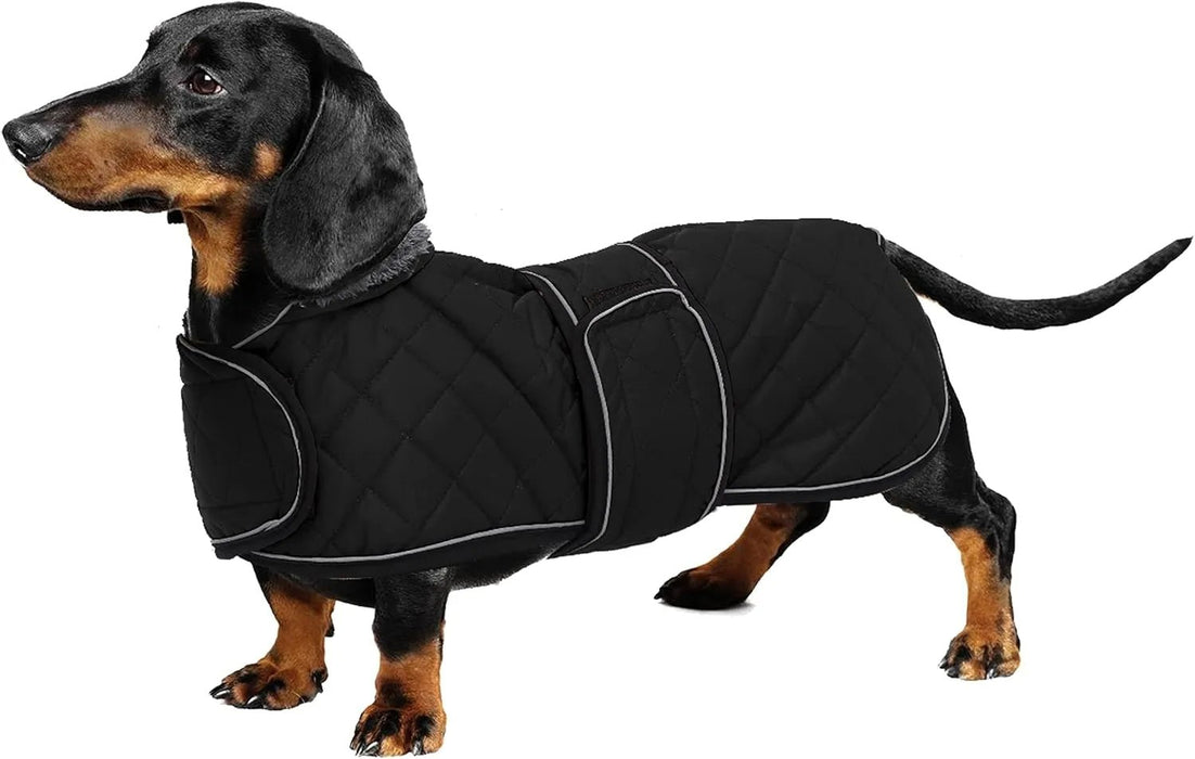 Casaco térmico de inverno para cão salsicha, com forro polar quente, impermeável, com faixas ajustáveis e orifício de arnês - PetDoctors - Loja Online