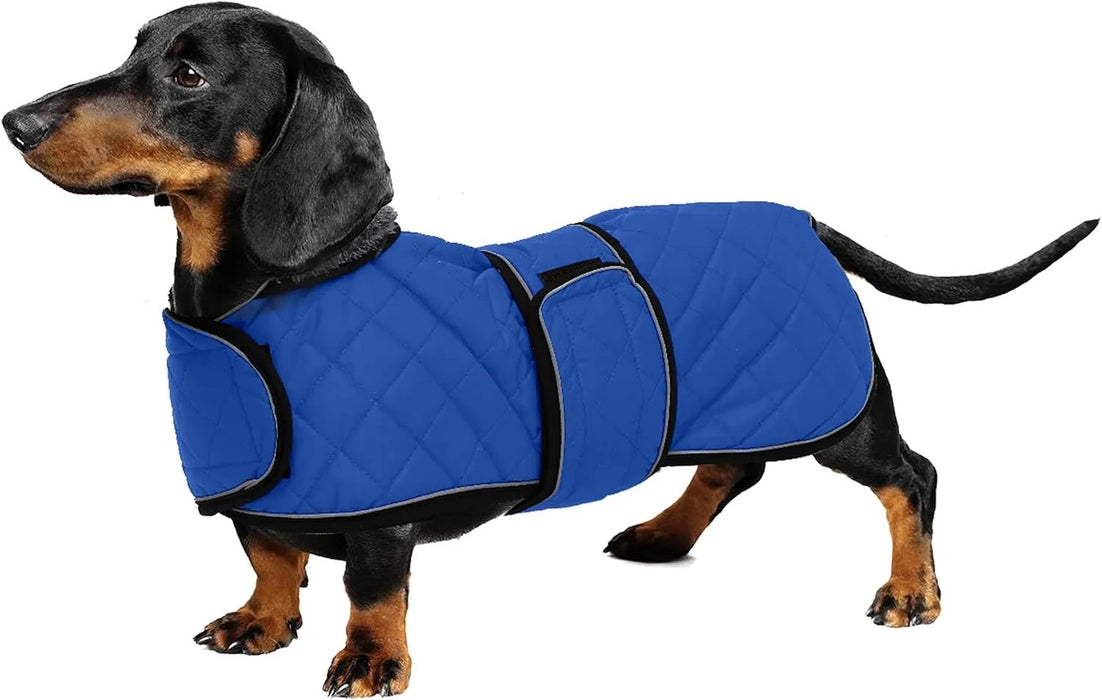 Casaco térmico de inverno para cão salsicha, com forro polar quente, impermeável, com faixas ajustáveis e orifício de arnês - PetDoctors - Loja Online