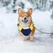 Casaco Vermelho e Azul, Impermeável, para cães, casaco quente com forro polar - PetDoctors - Loja Online