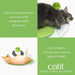 🐱 Centro de Massagem Senses 2.0 Catit para Gatos - PetDoctors - Loja Online