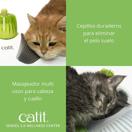 🐱 Centro de Massagem Senses 2.0 Catit para Gatos - PetDoctors - Loja Online