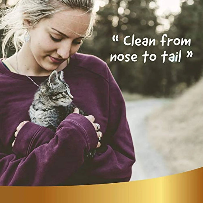 Champô a Seco Natural para Gato, 250 ml - Sem Necessidade de Água - Para uma Lavagem a Seco Eficaz - PetDoctors - Loja Online
