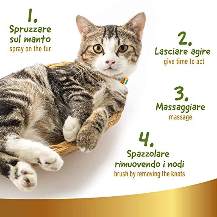 Champô a Seco Natural para Gato, 250 ml - Sem Necessidade de Água - Para uma Lavagem a Seco Eficaz - PetDoctors - Loja Online