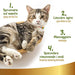 Champô a Seco Natural para Gato, 250 ml - Sem Necessidade de Água - Para uma Lavagem a Seco Eficaz - PetDoctors - Loja Online