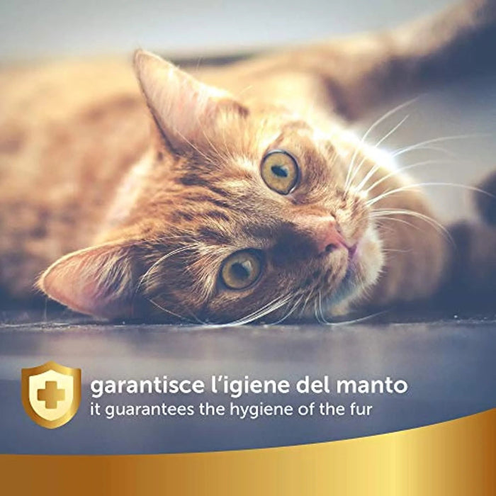 Champô a Seco Natural para Gato, 250 ml - Sem Necessidade de Água - Para uma Lavagem a Seco Eficaz - PetDoctors - Loja Online