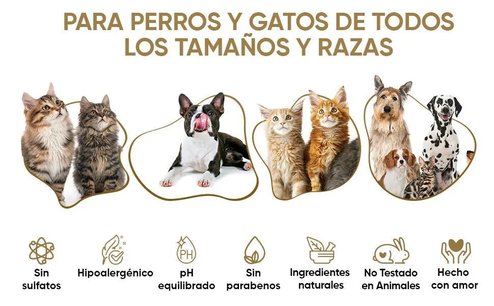 Champô cães e gatos anti - comichões. com óleo de côco e aloé vera (500 ml) - gel hidratante de banho com lavanda, camomila, aveia - PetDoctors - Loja Online