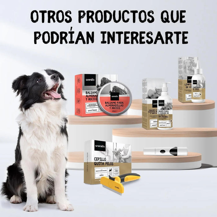 Champô cães e gatos anti - comichões. com óleo de côco e aloé vera (500 ml) - gel hidratante de banho com lavanda, camomila, aveia - PetDoctors - Loja Online