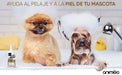 Champô cães e gatos anti - comichões. com óleo de côco e aloé vera (500 ml) - gel hidratante de banho com lavanda, camomila, aveia - PetDoctors - Loja Online