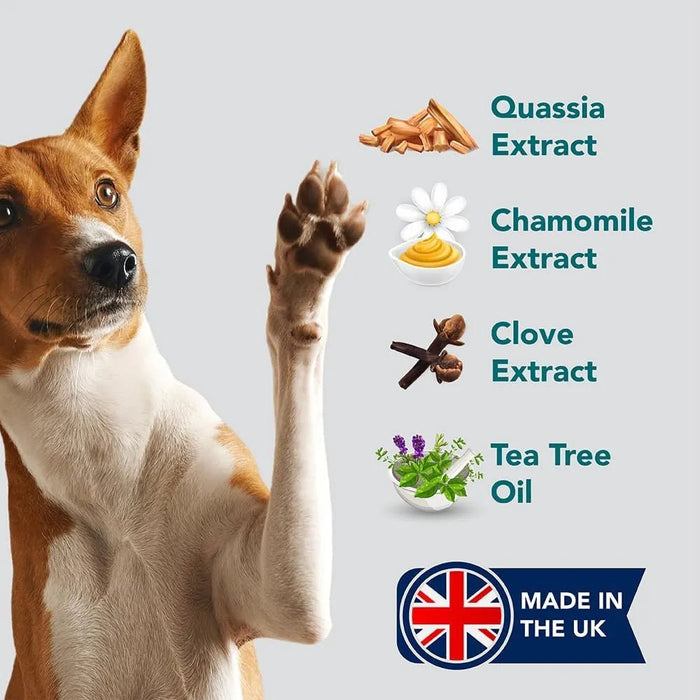 Champo e Condicionador anti - comichões para cães | alívio das comichões e cuidados com a pele | trata a comichão, a pele rachada e as feridas - PetDoctors - Loja Online