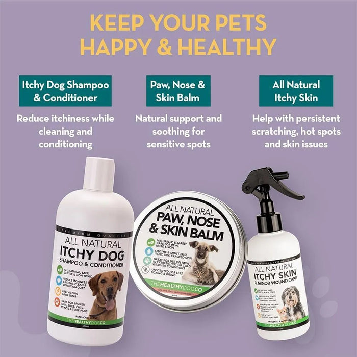 Champo e Condicionador anti - comichões para cães | alívio das comichões e cuidados com a pele | trata a comichão, a pele rachada e as feridas - PetDoctors - Loja Online