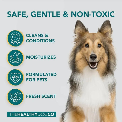Champo e Condicionador anti - comichões para cães | alívio das comichões e cuidados com a pele | trata a comichão, a pele rachada e as feridas - PetDoctors - Loja Online