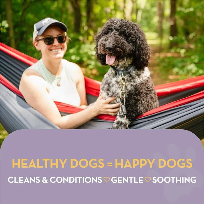 Champo e Condicionador anti - comichões para cães | alívio das comichões e cuidados com a pele | trata a comichão, a pele rachada e as feridas - PetDoctors - Loja Online