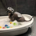 Champô Probiótico para Gatos Sphynx - 120 ml (com bomba de espuma) - PetDoctors - Loja Online