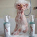 Champô Probiótico para Gatos Sphynx - 120 ml (com bomba de espuma) - PetDoctors - Loja Online