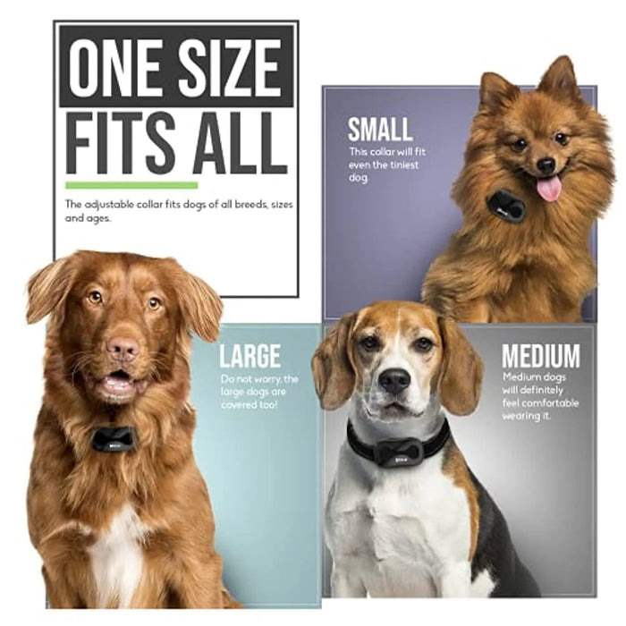 Coleira Anti - latidos Premium para Cães Pequenos e Grandes (Coleira de treino anti - latido: funciona por vibração) - PetDoctors - Loja Online