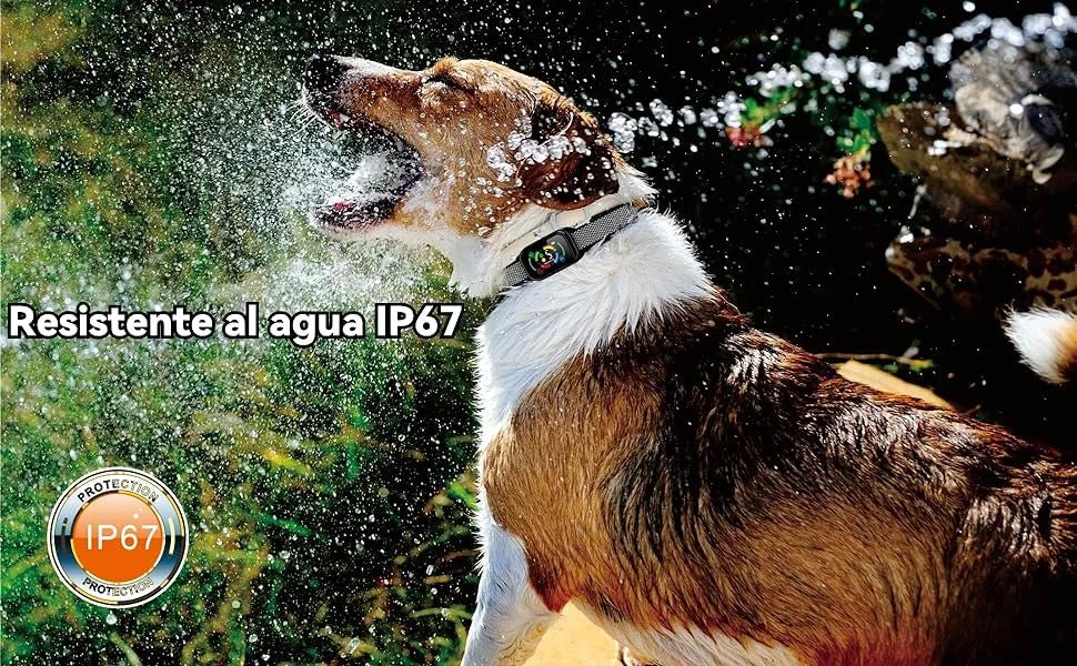 Coleira anti - latidos, vibratória, automática para cães, deteção inteligente de latidos com 3 modos de vibração, som e forte vibração, sensibilidade ajustável, resistente à água e recarregável - PetDoctors - Loja Online