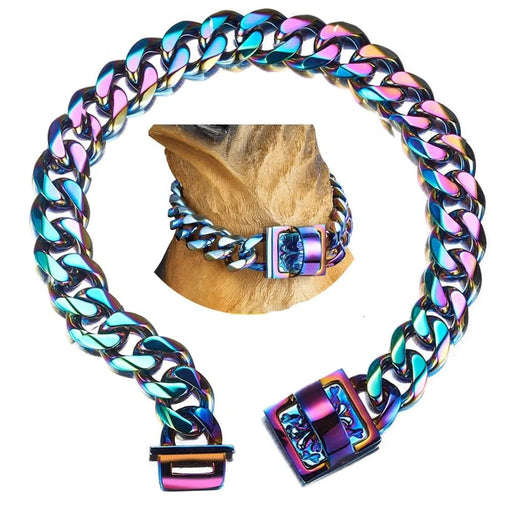 ❤️ Coleira Arco - Íris em Aço com 19 mm de Largura - Para Cães ❤️ - PetDoctors - Loja Online