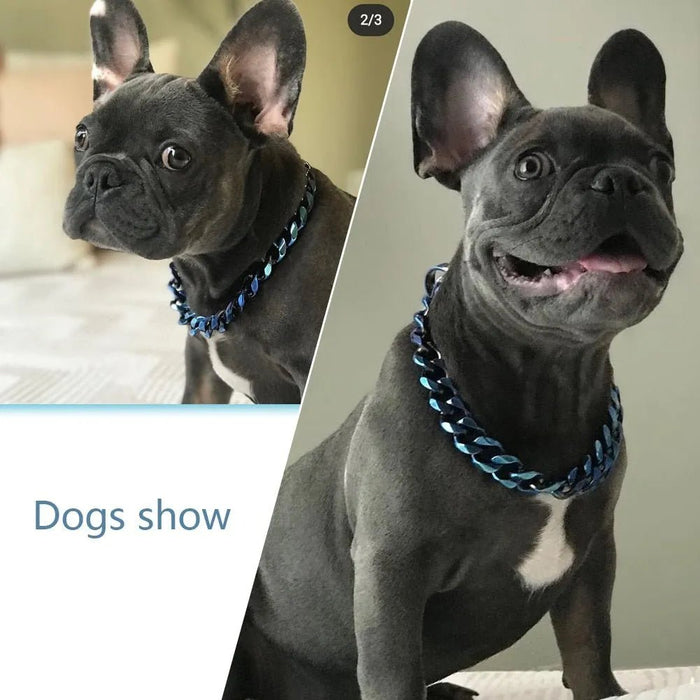 ❤️ Coleira Arco - Íris em Aço com 19 mm de Largura - Para Cães ❤️ - PetDoctors - Loja Online